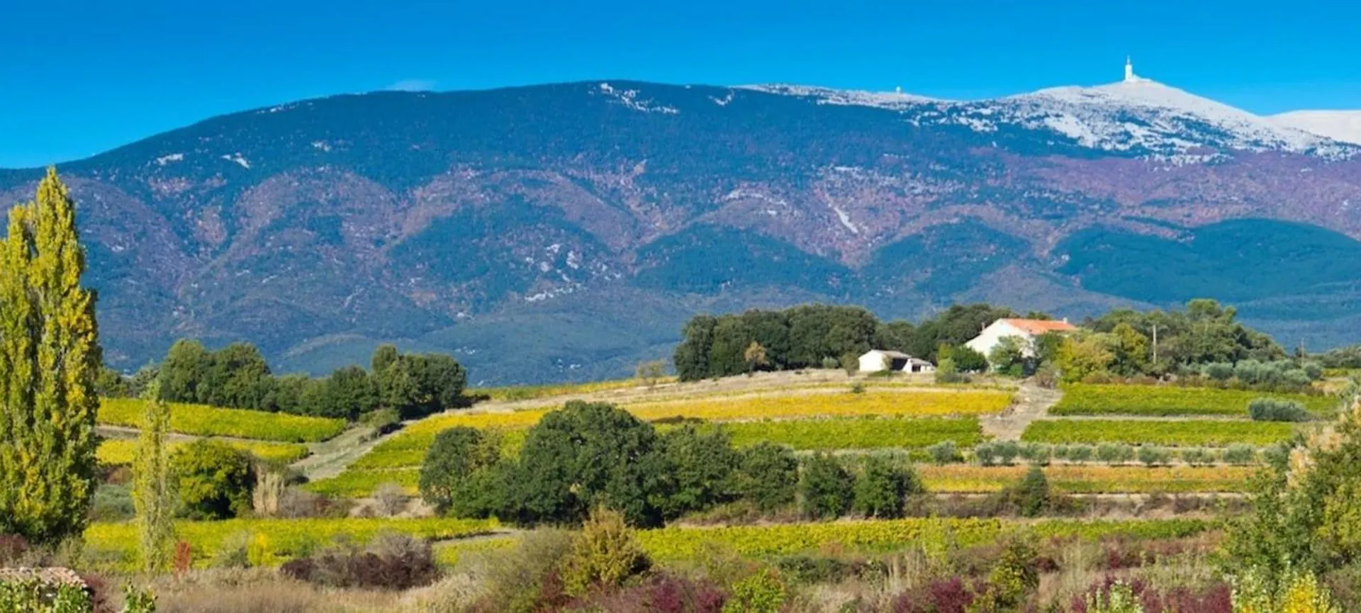 84B7 - Accommodation In A Charming 18Th Century Farmhouse Althen-des-Paluds